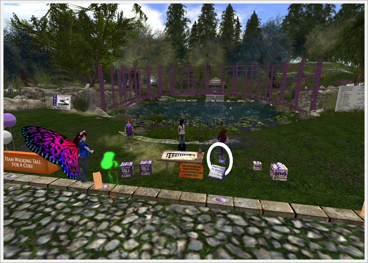 Relay For Life 2013  (31)